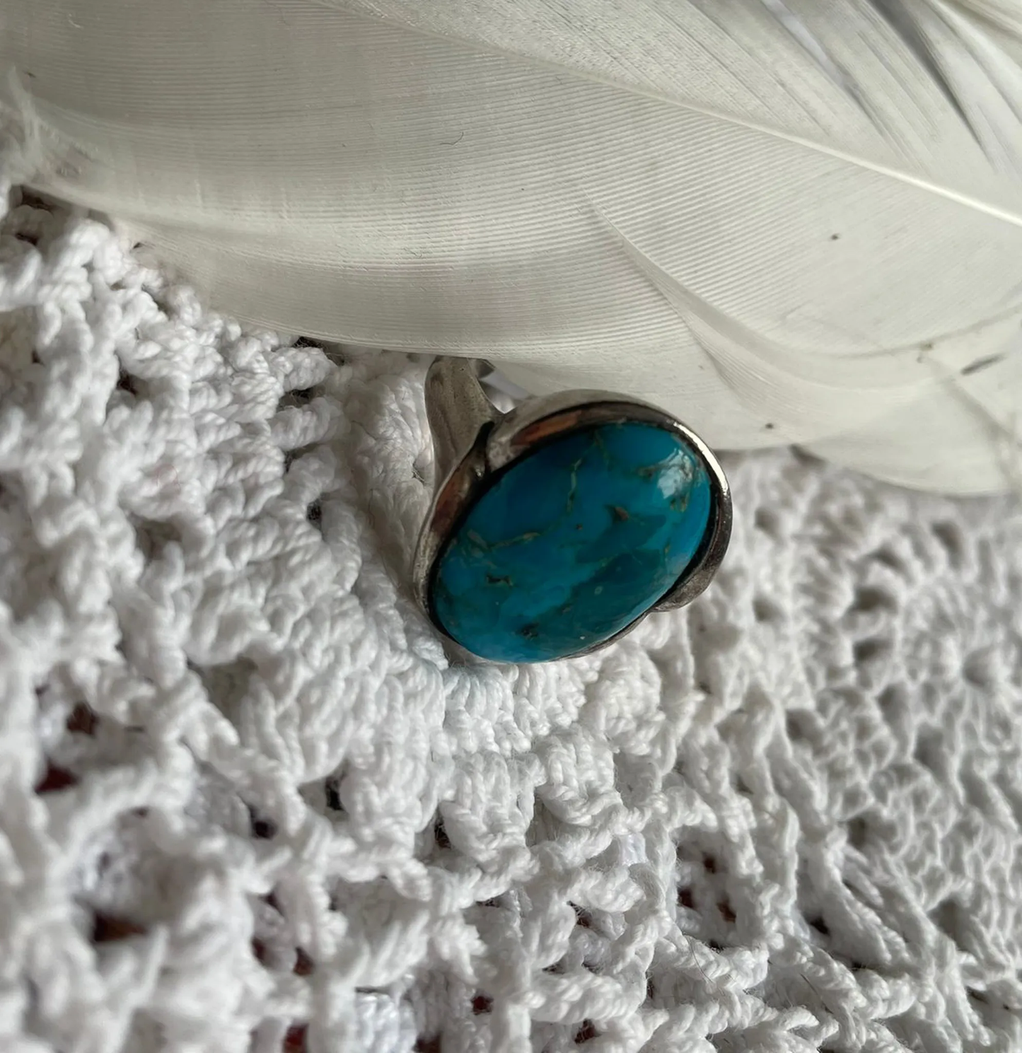 Ring Polly