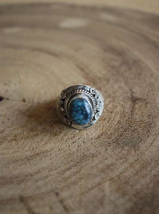 Ring Ned