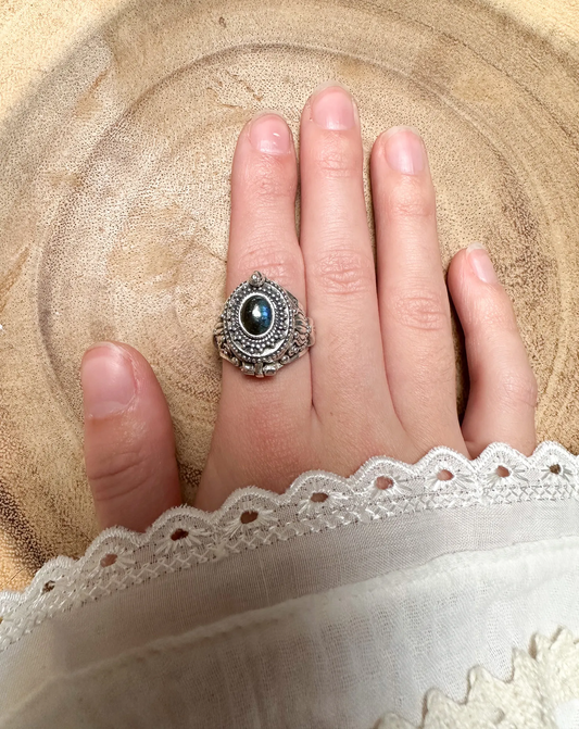 Ring Dehli